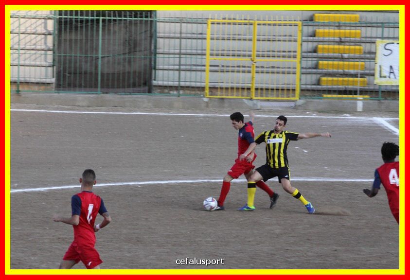 181111 Cepha_Milazzo 093_tn.JPG
